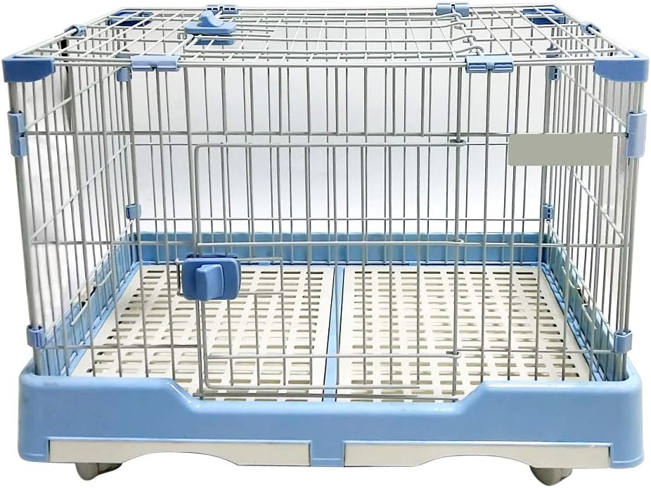 porta massima per animali domestici