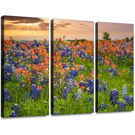 pix Texas Wildflower Wall Art texas wildflower bluebonnet