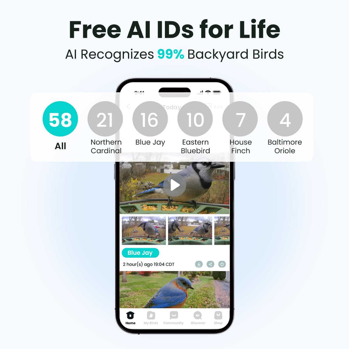 Birdfy 2 Base Vogelfutterhaus mit Kamera und App, 1080P Wireless Futterstation mit Farbnachtsicht, Live Vogelbeobachtung, Automatisch Vogelaufnahme, Echtzeit Benachrichtigung, Solarbetrieb