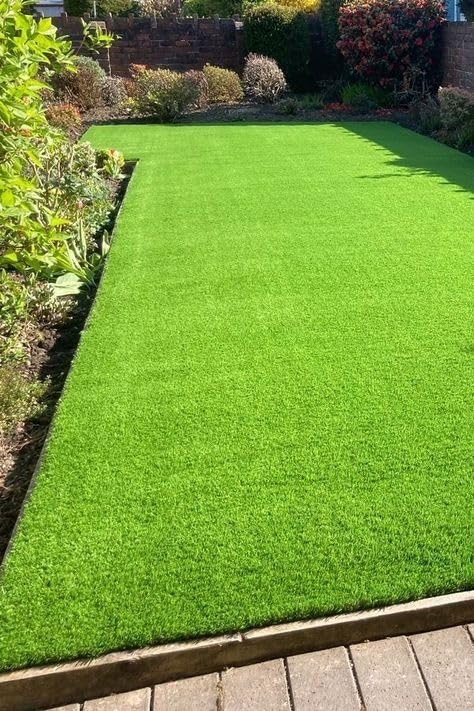 Mexican Lawn Grass Seeds – Durable, Low-Maintenance, & Fast-Growing Lawn Seeds for Home Gardens & Outdoor Spaces || 4000 Seeds ||