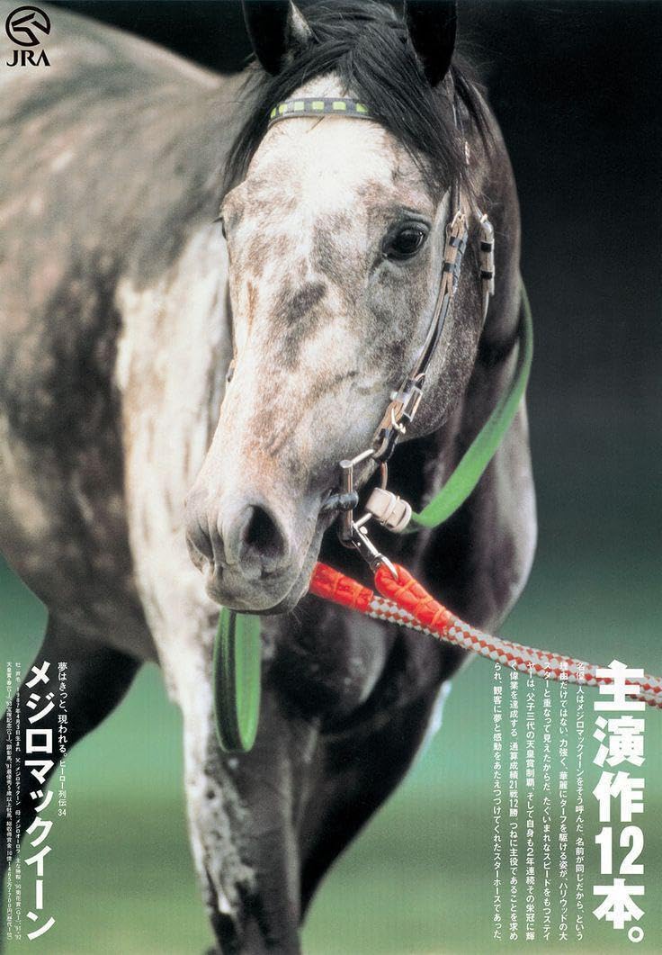 【非売品】メジロマックイーン ポスター B3サイズ 競馬ヒーロー列伝ウマ娘馬 Amazon.co.jp: メジロマックイーン ポスター B3サイズ 競馬ヒーロー