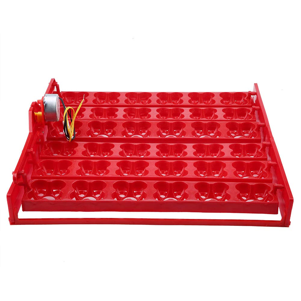Buy Egg Turner, Egg Hatcher Tray, Egg Turning Tray Tool Egg Incubation
