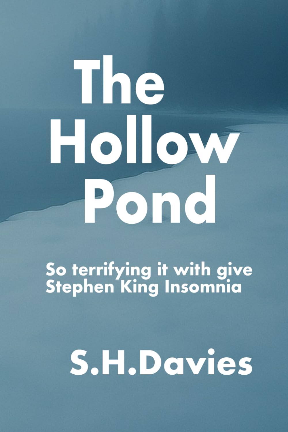 The Hollow Pond: The Hollow Pond: A Nordic Crime Noir Thriller