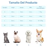 Ver la foto 6