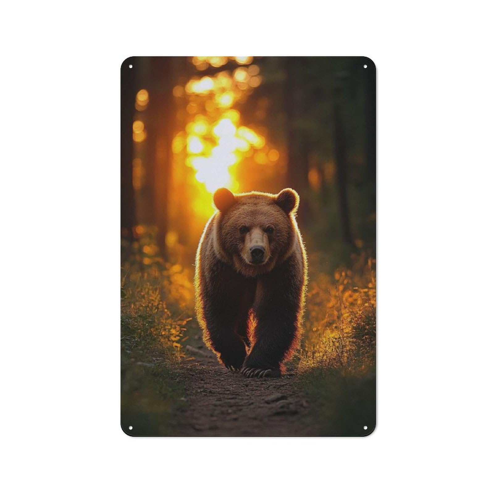 Junmoney Style-5 Garage Style Bear Walking In Forest At Sunset Decorative Metal Plaque 30X20cm, Garage Wall Decor For Workshop, Basement, Shed Or Games Room