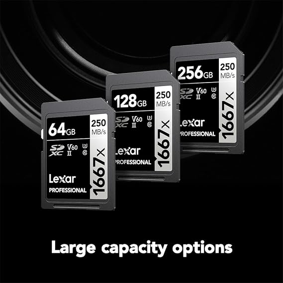 Lexar 256GB Professional 1667x SD Card, UHS-II, C10, U3, V60, Full HD, 4K, Up To 250MB/s Read SDXC Memory Card, for Professional Photographer, Videographer, Enthusiast (LSD256CBNA1667) | Up to 250MB/s read, Up to 120MB/s write, UHS-II, V60, U3, Class 10, 4K video, Full HD video