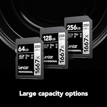Lexar 256GB Professional 1667x SD Card, UHS-II, C10, U3, V60, Full HD, 4K, Up To 250MB/s Read SDXC Memory Card, for Professional Photographer, Videographer, Enthusiast (LSD256CBNA1667) | Up to 250MB/s read, Up to 120MB/s write, UHS-II, V60, U3, Class 10, 4K video, Full HD video