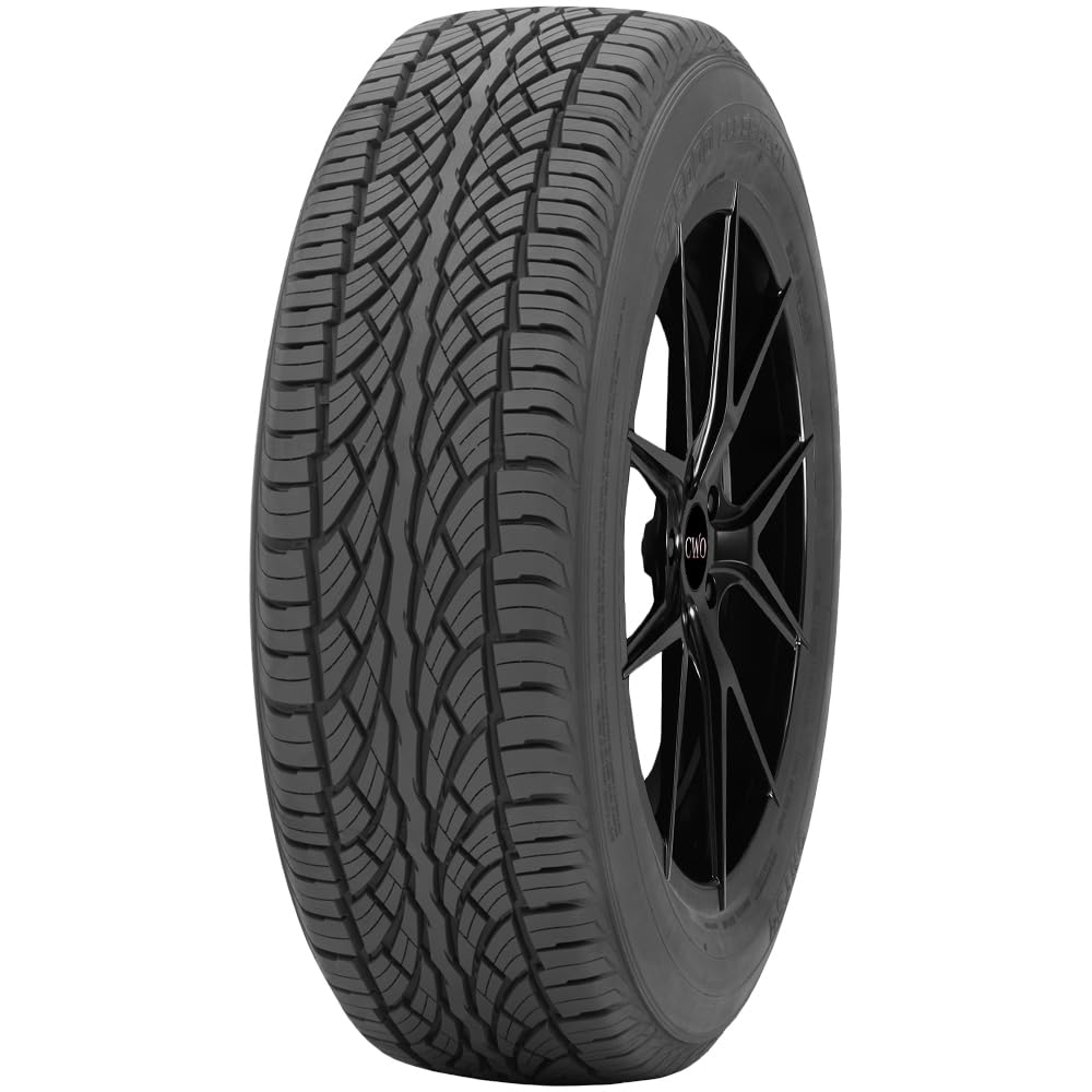 Amazon.com: Ohtsu ST5000 all_ Season Radial Tire-265/35R22