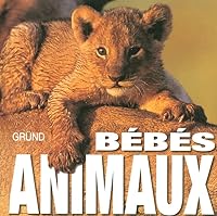 BÃ©bÃ©s animaux (French Edition) 2700026675 Book Cover