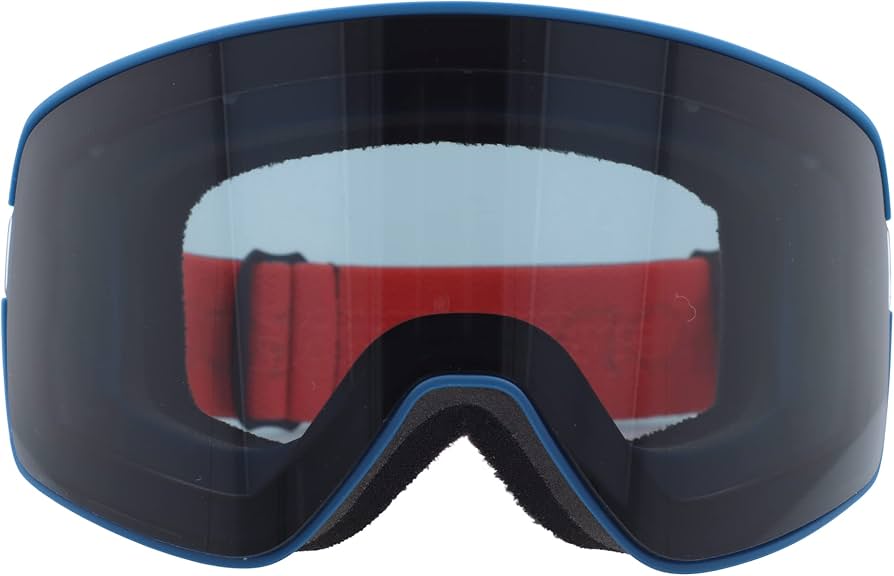 DRAGON - DRAGON NFX2 DANY DAVIS signature モデル Dragon Unisex NFX2 Goggles / Danny Davis Signature/Dark