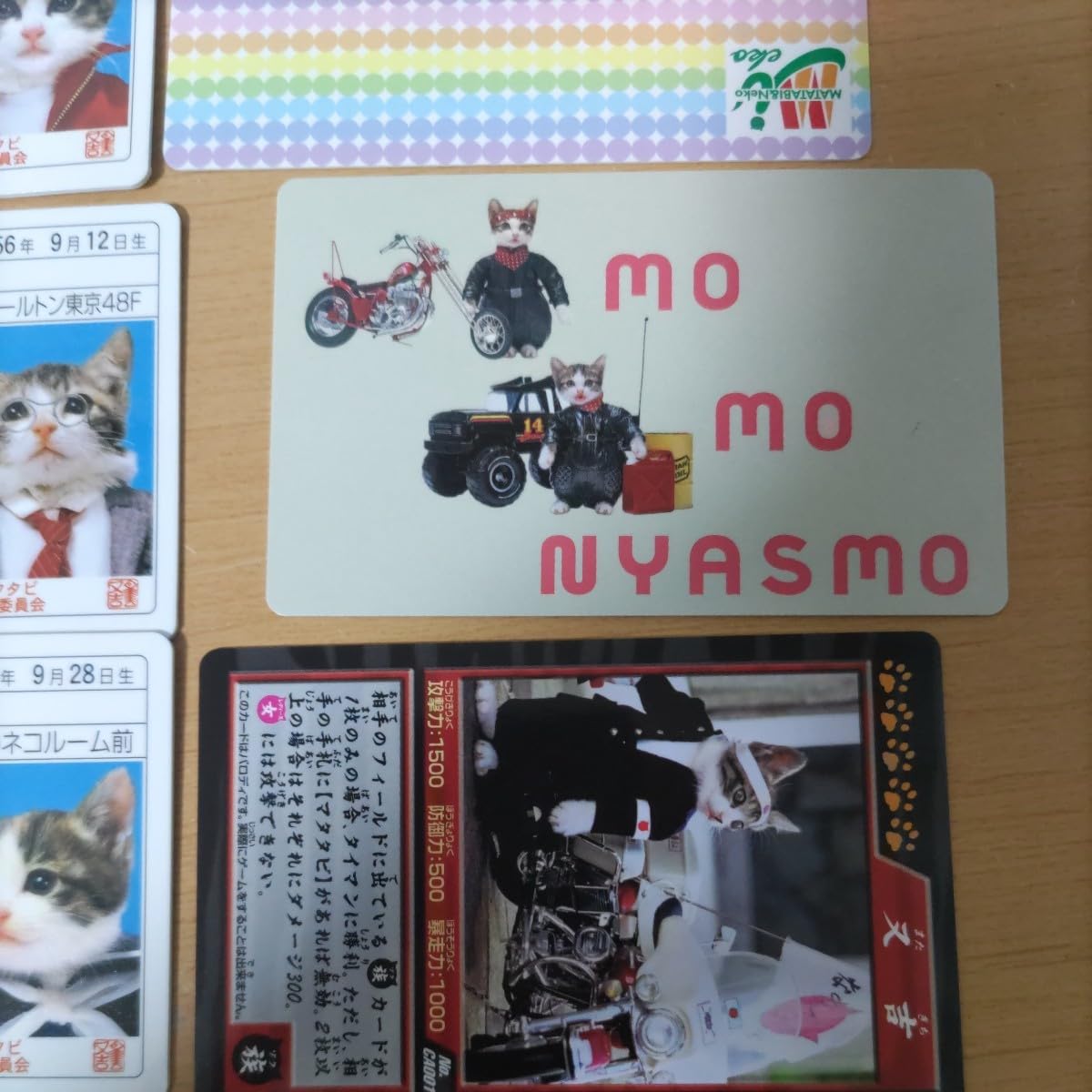 Amazon.co.jp: なめ猫免許証 なめんなよ 昭和レトロ カード