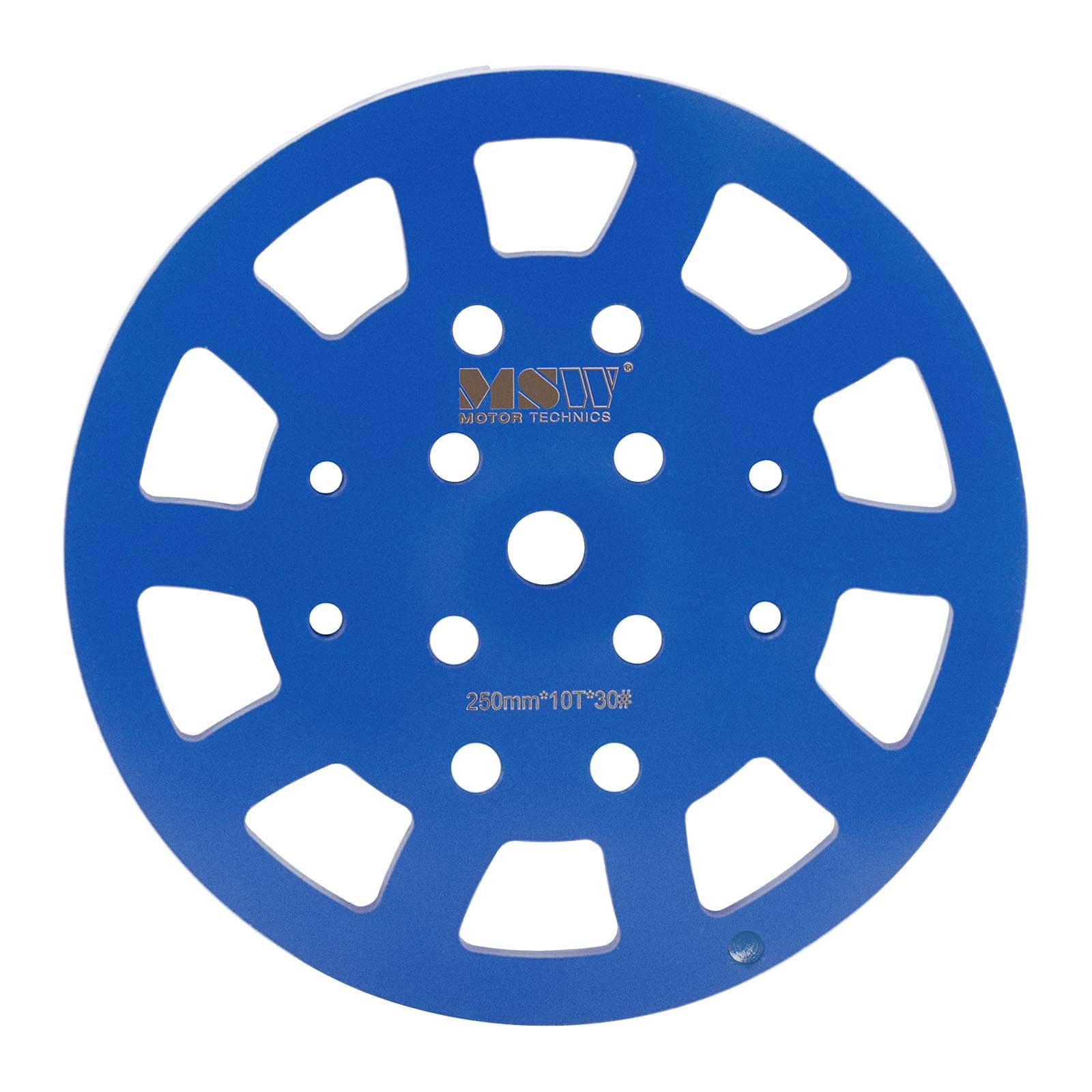 MSW Disque Diamant À Meuler Le Béton Plateau De Surfaçage Diamanté Meule Disque À Surfacer MSW-FGGD-1 (Grain 30, ø 250 mm, 10 Segments @ 10 x 10 x 40 mm, Acier & Diamant)