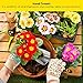 Sinoer Garden Shovel Trowel & Hand Shovel Soft Rubberized Non-Slip Handle, use for Transplanting, Weeding, Moving and Smoothing Digging & Planting