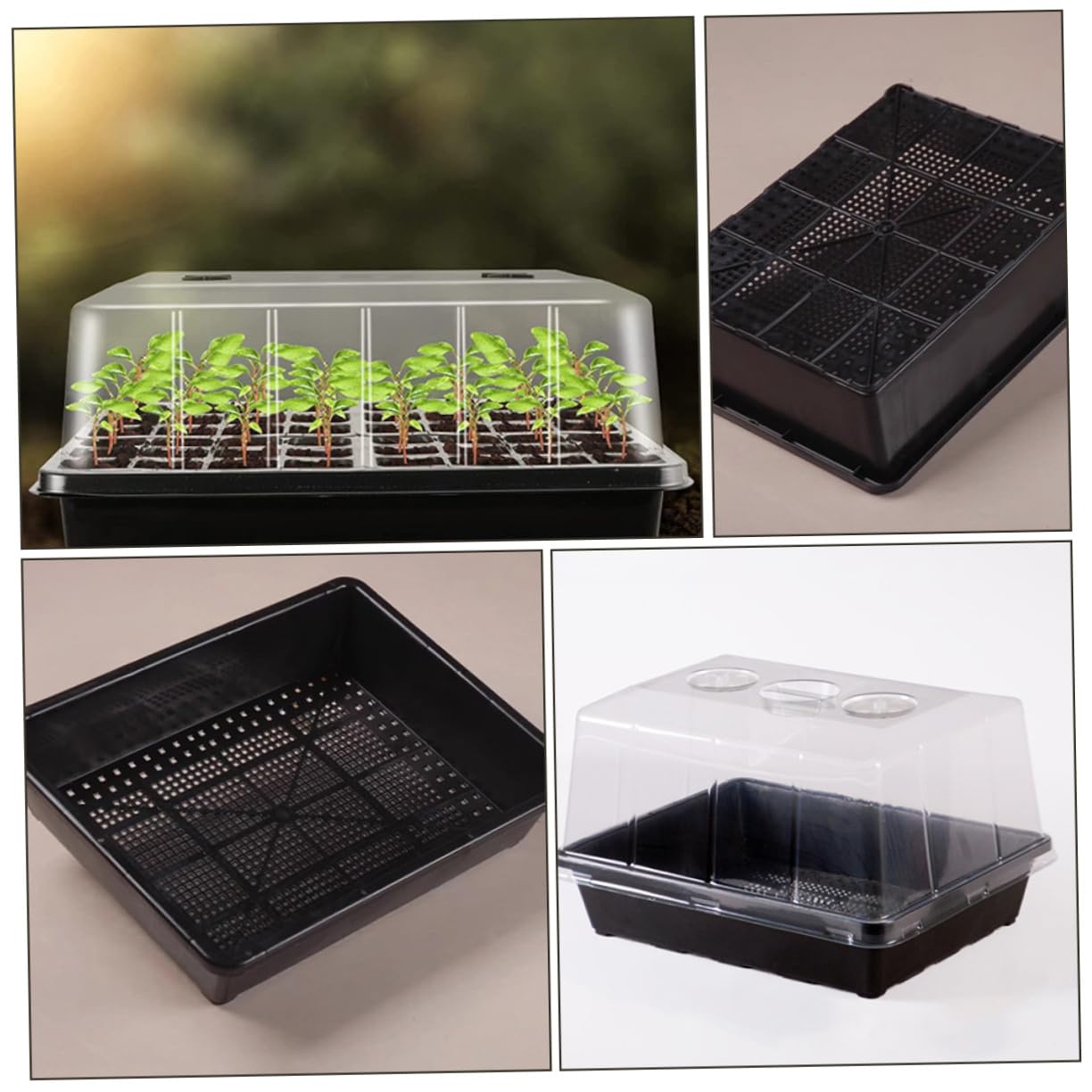 VANZACK Vassoi per Piante in Plastica Cupola per Semina di Piantine Vassoi Stella per Piantine con Semi per da Giardino Contenitori per Fiori di