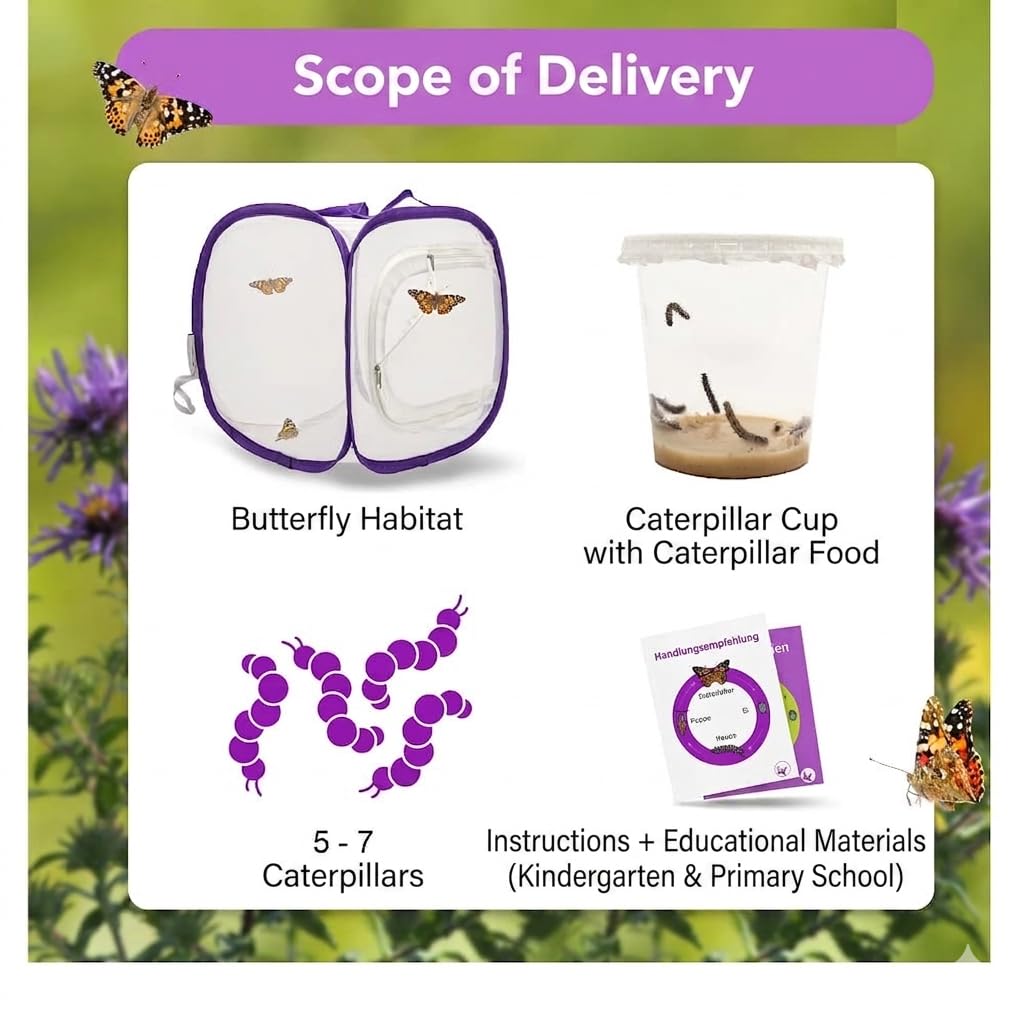 Juego de cría de mariposas para niños/adultos, ideal para el hogar, garantía de éxito | libro electrónico gratuito y materiales de aprendizaje | Cría de orugas