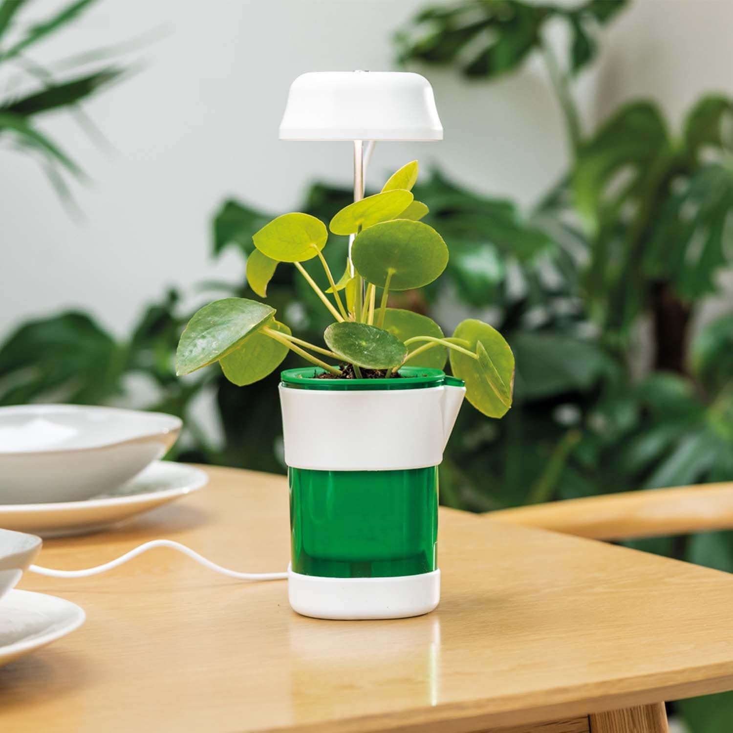 VIPREKHO Lights for Indoor Pot Height Adjustable Led Plant Light, Full Spectrum Grow Lamp Plant Indoor Self-Watering Pot Full-Spectrum Light Growing Height UL Adapter Included (B0D11KSFX7) Amazon Price History, Amazon Price Tracker