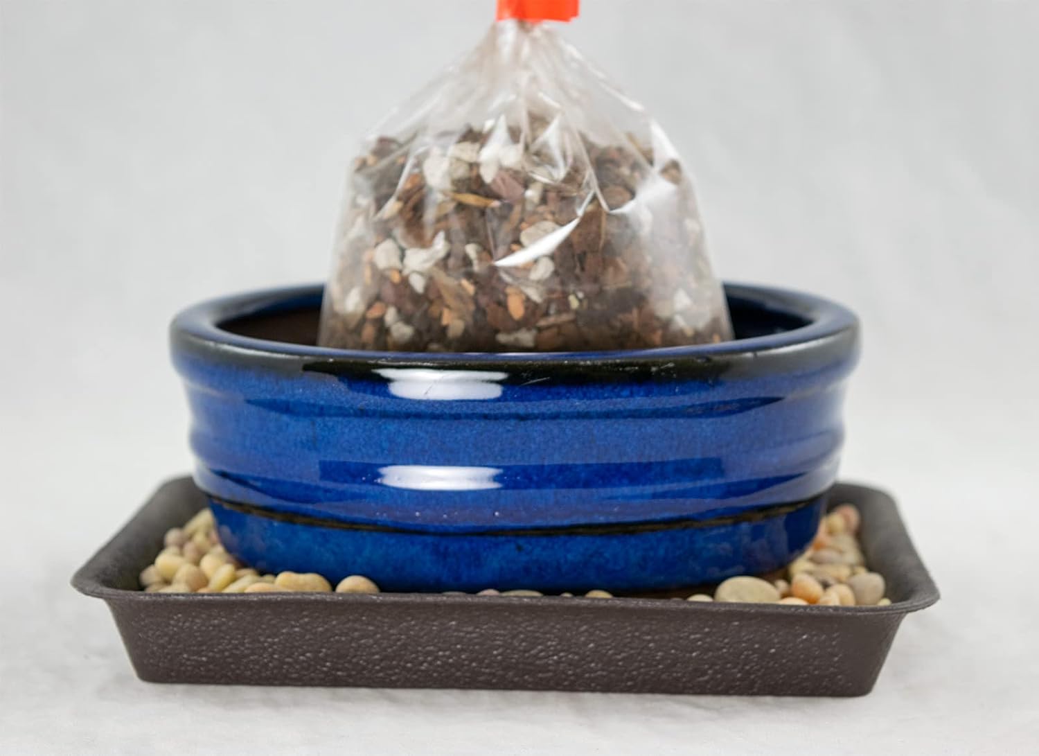 6 Oval Blue Glazed Bonsai/Succulent Pot + Soil + Tray + Rock + Mesh Kit