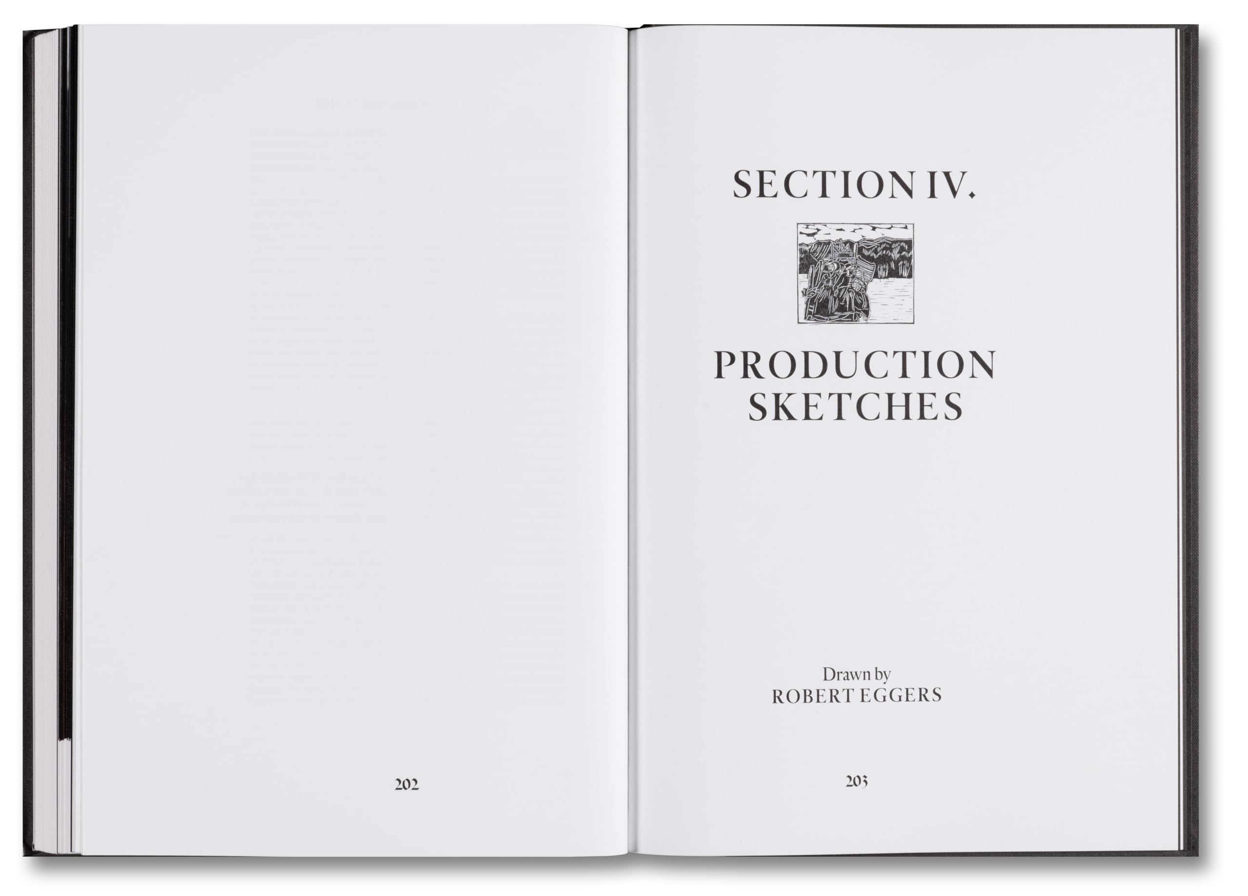The Witch Screenplay Book