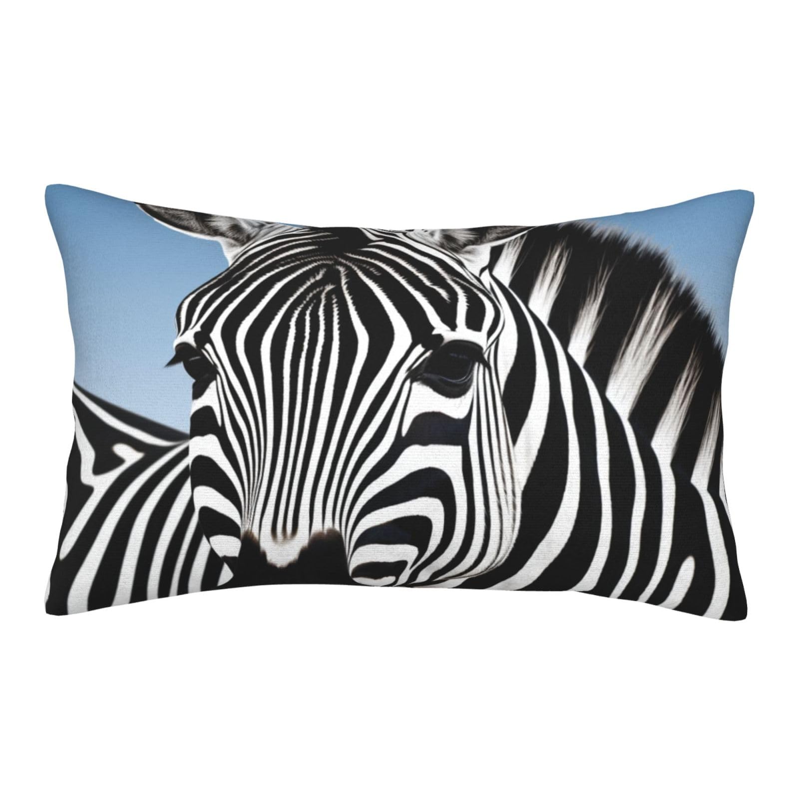 Velvet Pillowcases 16"x24" Ultra Soft Breathable Pillow Cases, Luxury Fuzzy Throw Pillow Covers with Zipper, Zebra Pillow Shams All Seasons Decorative Cushion Cases for Couch