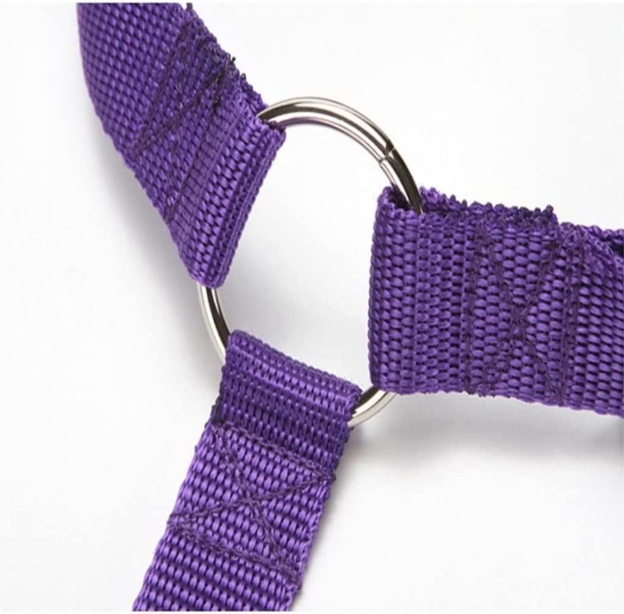Correa Perro Correr Collar De Asiento Trasero para Mascotas, Correa Ajustable, para Perros Y Gatos, Accesorios para, para Antideslizantes Reforzada