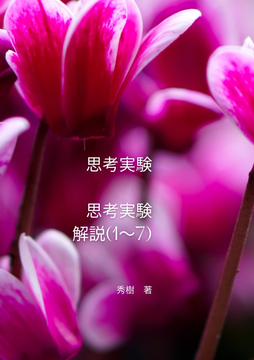 思考実験　　思考実験　解説