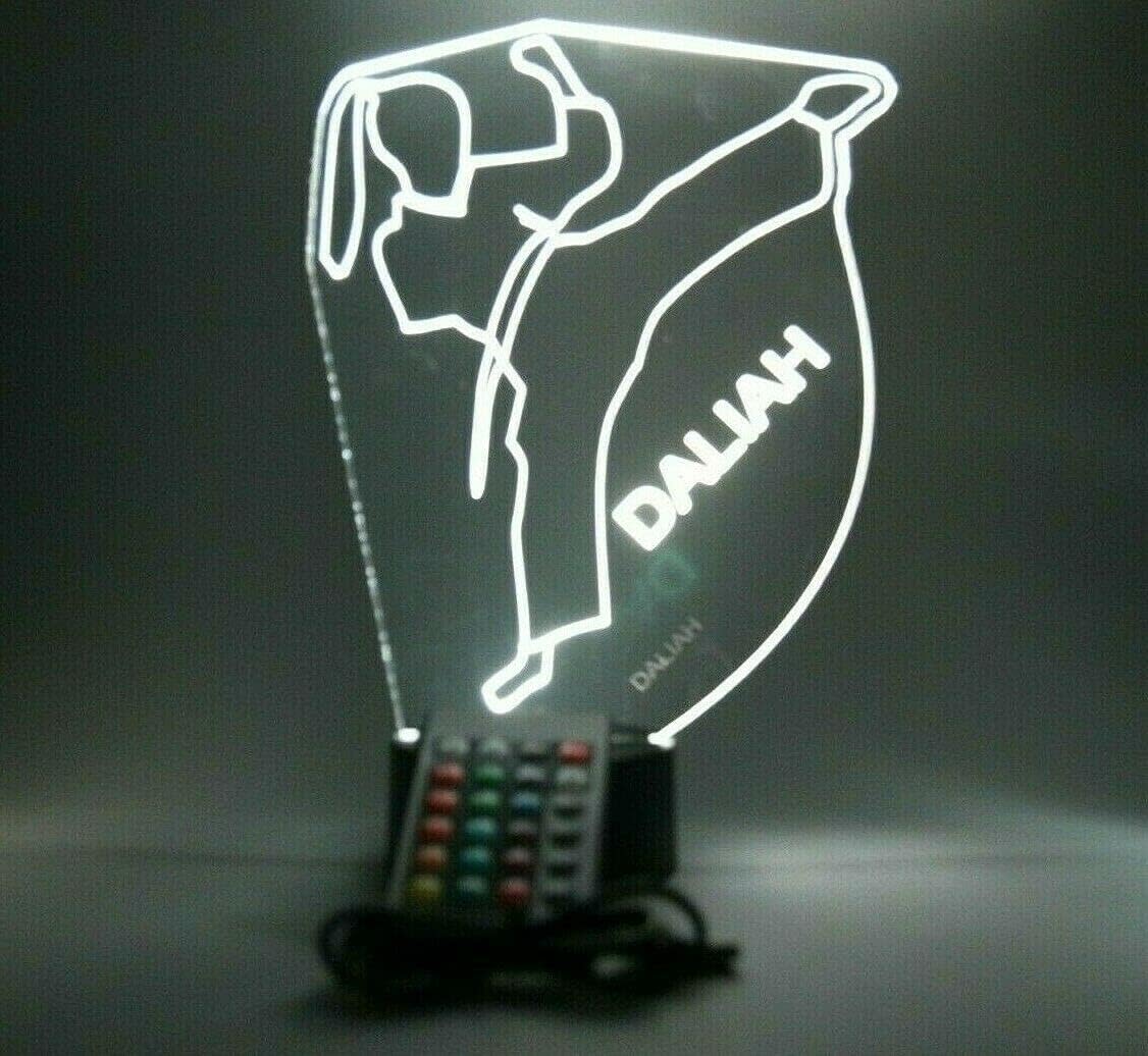 MIRROR MANIA Karate Night Light Up Lamp LED Free Engraved Girl Karate Martial Arts Desk Lamp Custom Name Personalized Female Karate Do Table Lamp, with Remote, 16 Color Options, It's Wow, Sports Gift