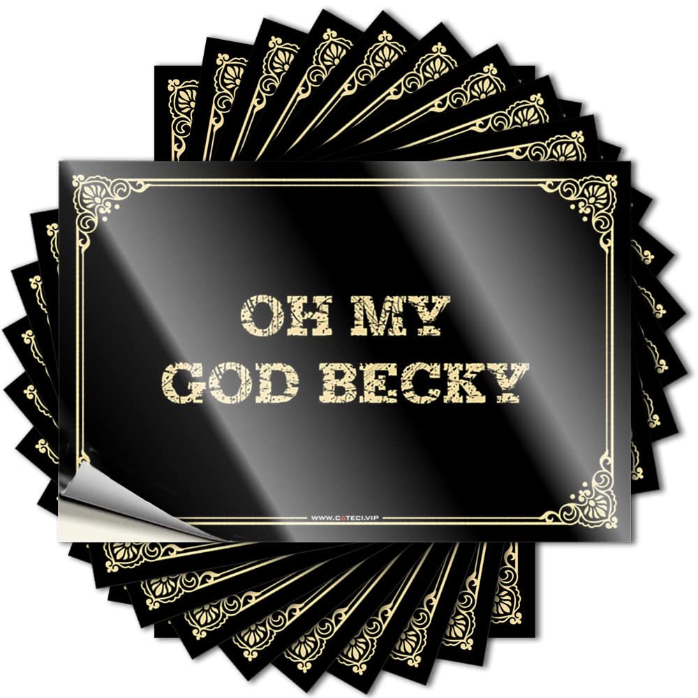 Winter Sticker Aesthetic Decals, Funny Cute Pattern Design for Fall Notebook | Bumper Removable Vinyl Oh My God Becky(8X12CM)