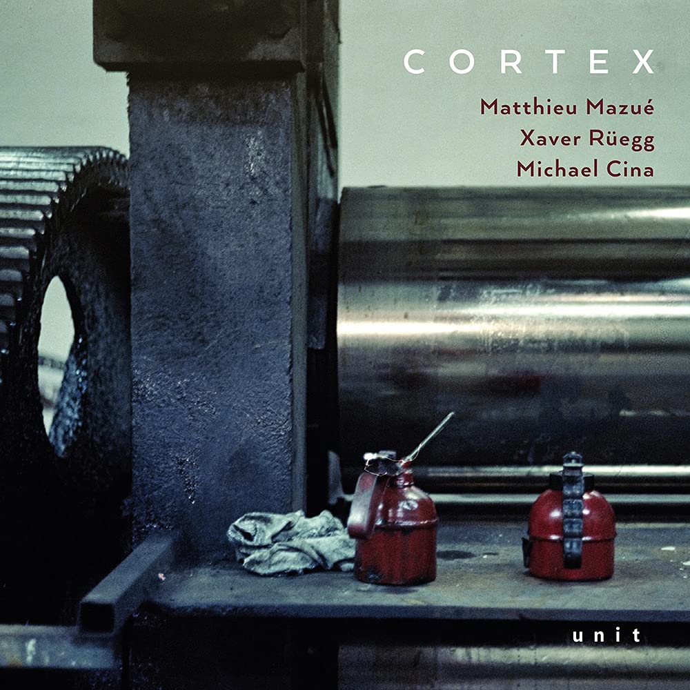Cortex