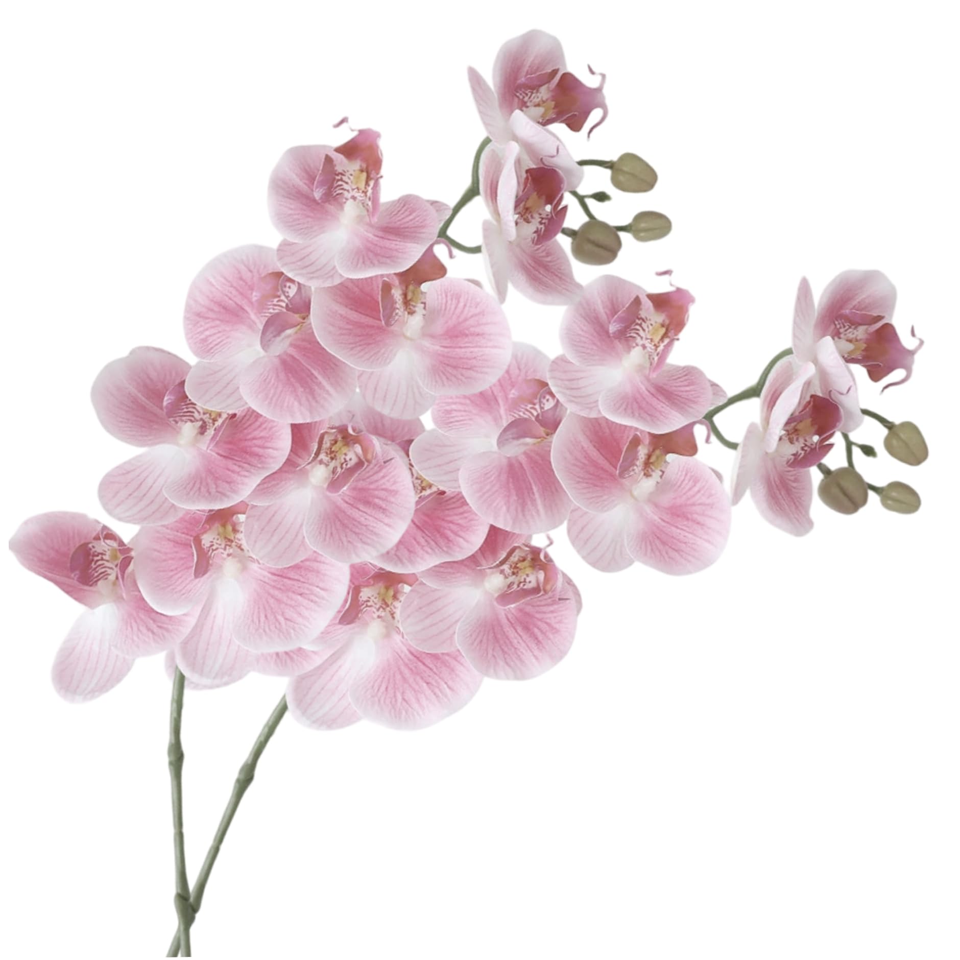 Fleurs artificielles sans entretien : lot de 2 grandes orchidées réalistes 96cm