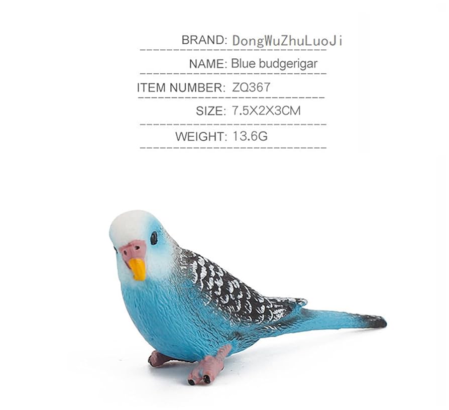 ヤトウナオコ　オカメインコ　セキセイインコ 　フィギュア Amazon.co.jp: condinggen シミュレーション鳥アクション