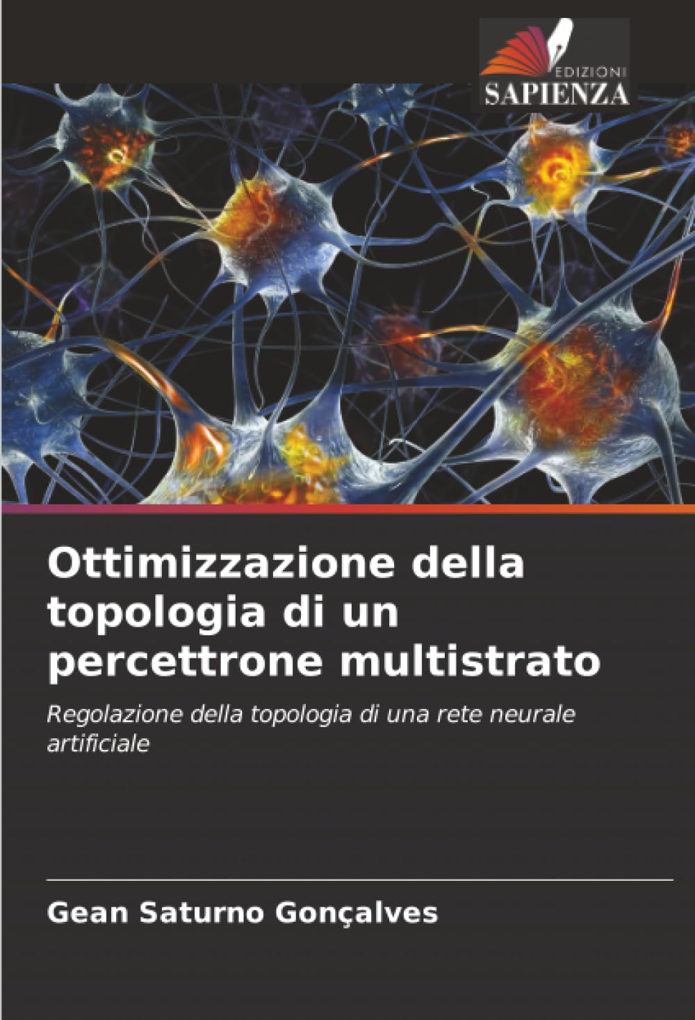 Ottimizzazione della topologia di un percettrone multistrato: Regolazione della topologia di una rete neurale artificiale