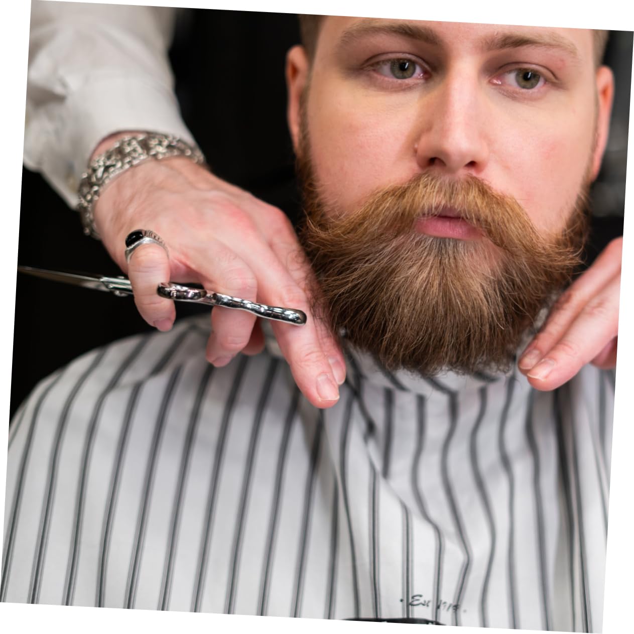 6sets Forbici Per Barba e Pettine Kit Professionale Inossidabile Con Custodia Ecopelle Per Rifinitura Di Barba e Sopracciglia
