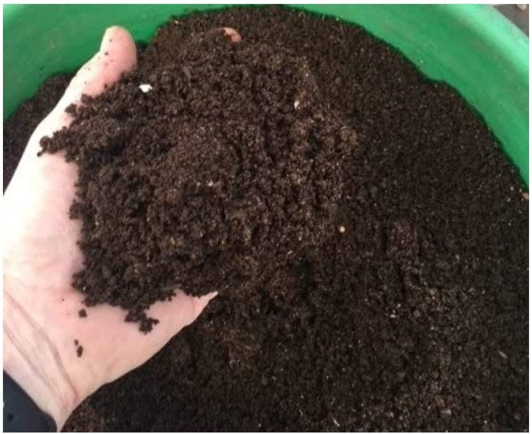 Earth Magic Potting Soil Mix for Plants 50kg | Soil for Plants | Soil and Fertilizer for Plants | Mix for Home Garden 50kg-image-31