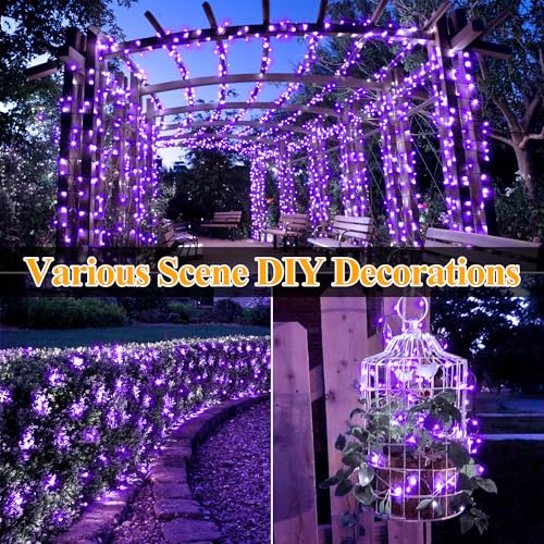 Image of Ollny Purple Solar String Lights, 2 Pack Total 80FT 240LED Waterproof Solar Halloween Lights, 8 Modes Fairy Lights for Outside House Yard Garden Holiday Party