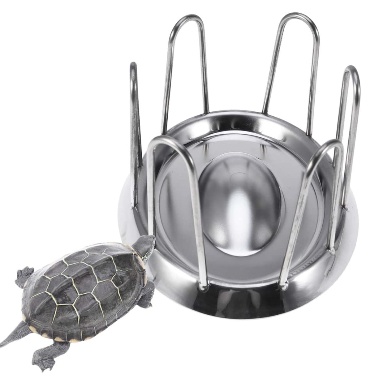 Didiseaon Ciotola per Tartarughe in Acciaio Inox Ciotola per Cibo per Rettili Distributore di Cibo per Tartarughe Forma Rotonda Liscio Facile da Pulire