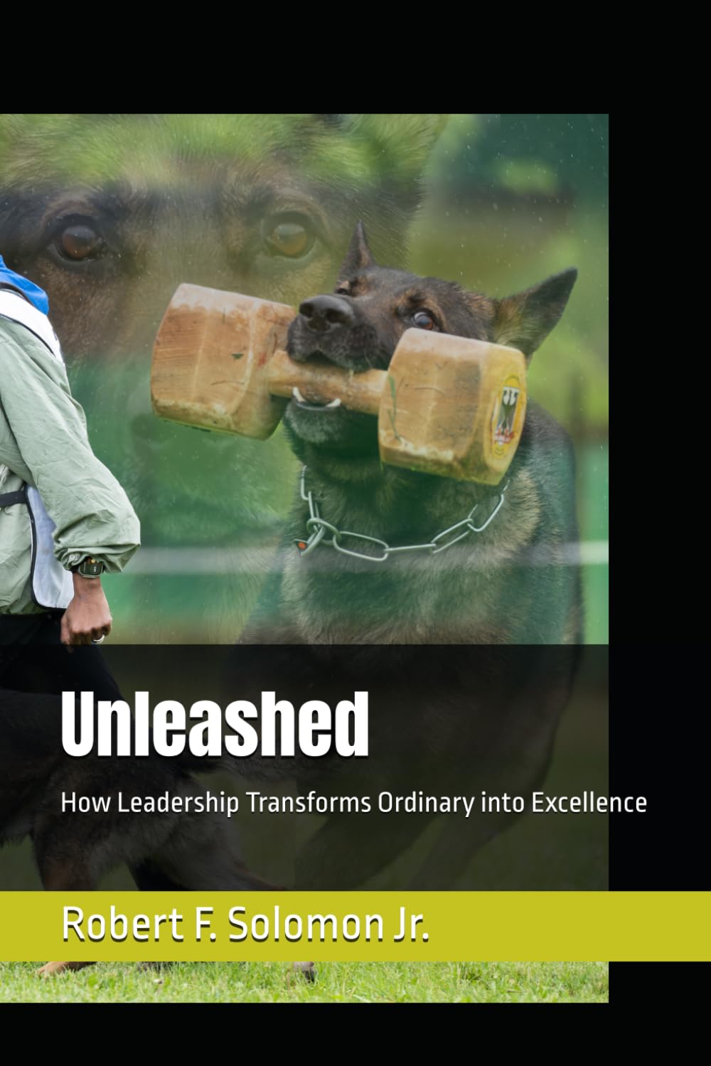 Unleashed: How Leadership Transforms Ordinary into Excellence