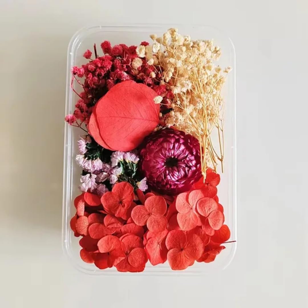 Dried Flowers Assorted Mix, Multicolor Natural Preserved Floral Set, Craft Supplies for Resin Art,Art Craft Mixed Soap, Candle, Scrapbook, DIY,Jewellery, Pendant-1 PC (RED)-image-28