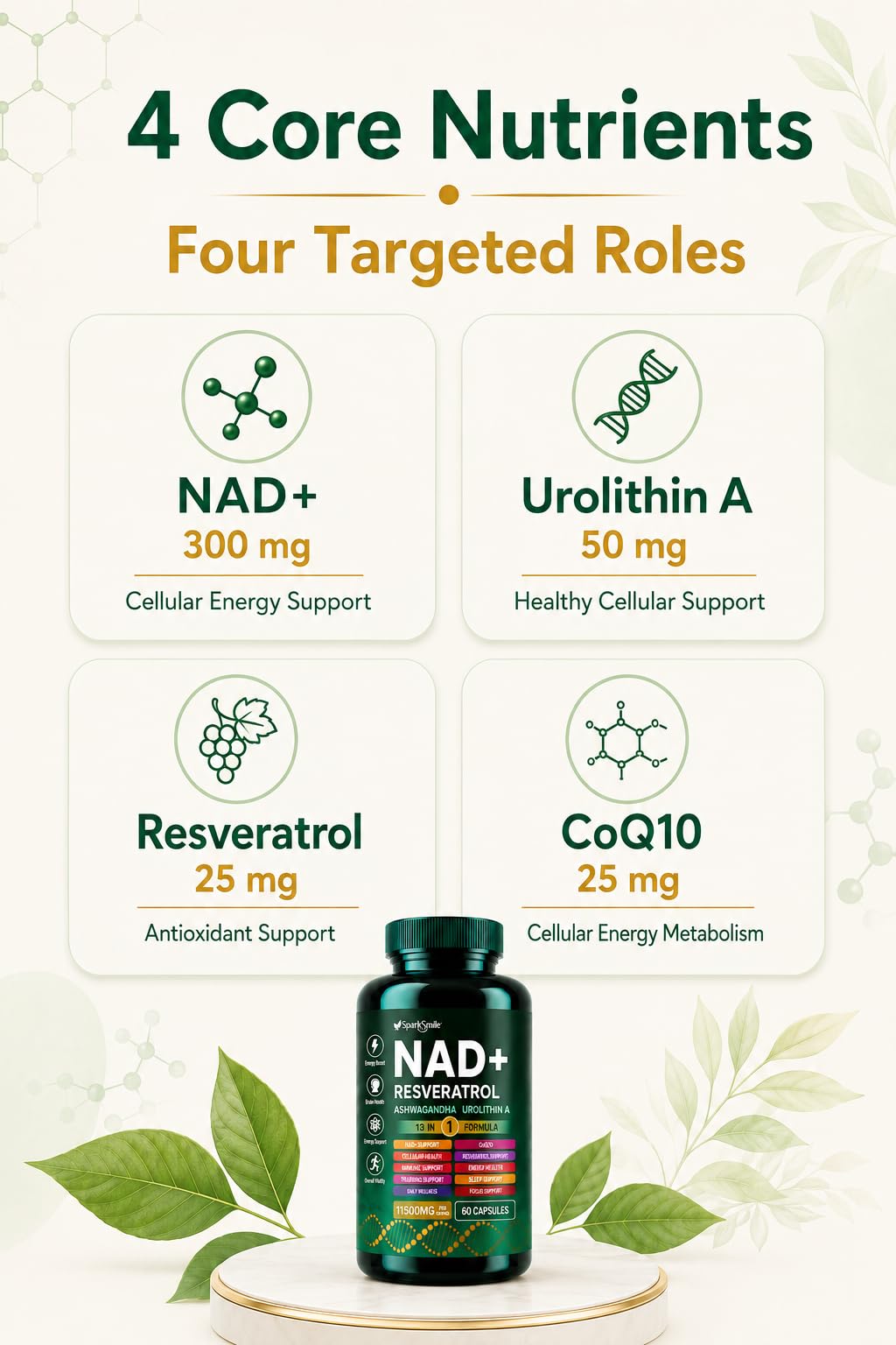NAD Supplement for Women & Men, 13-in-1 NAD+ Complex with Urolithin A, Resveratrol & CoQ10, Cellular Energy, Focus & Daily Vitality Support, 60 Capsules — Amazon image 3