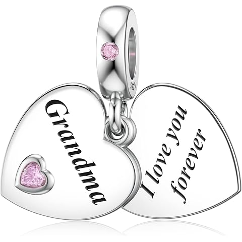 JIAYIQI Mother Sister Daughter Wife Charms Fit Charms Bracelet Necklace with Double Heart Love Charms 925 Sterling Silver Beads for Women Jewelry