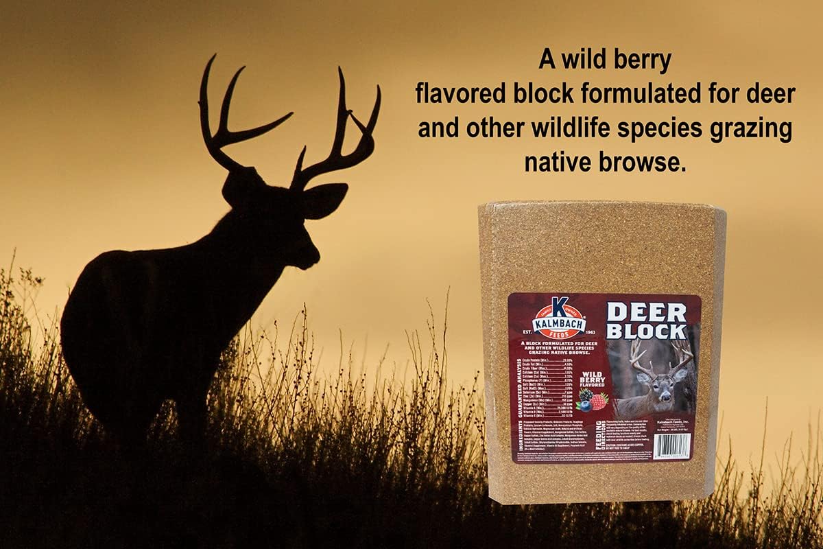 Kalmbach Feeds Wild Berry Supplement Block for Deer and Wildlife, 30 lb