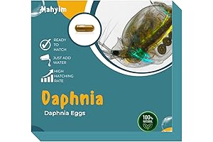 ONE Capsule (2000+ Eggs) Daphnia Magna Water FLEA Eggs Alive Fresh for Killifish/Fish