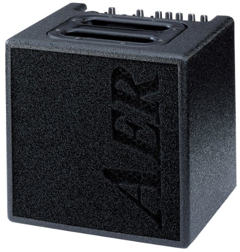 AER Alpha Acoustic Guitar Amplifier