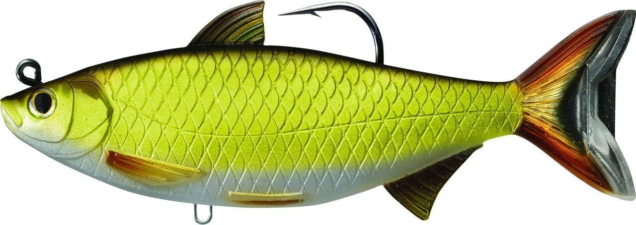 LIVE TARGET GSS140MS704 Golden Shiner Series Freshwater Swimbait, Gold/Black, One Size