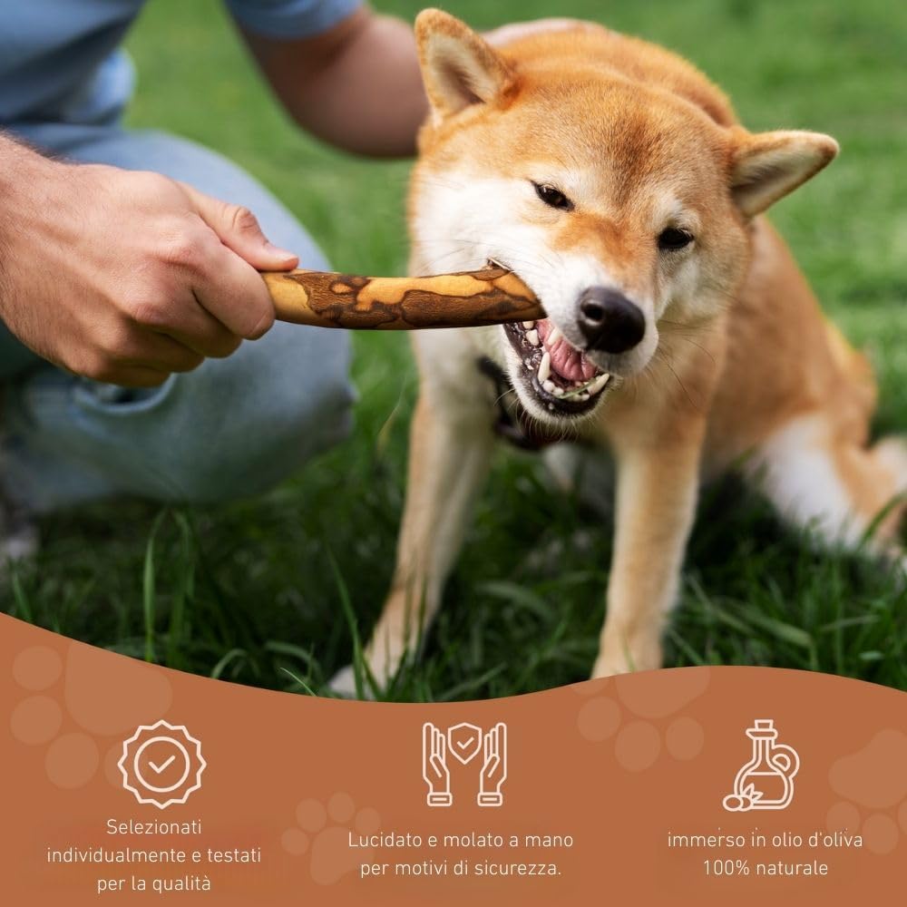 Wildfang® Bastone da Masticare in Legno d'Olivo per Cani - Giocattolo Naturale per Cuccioli, Teething Toy, Ossa in Legno per Cani, Chew Stick Resistente, Giocattolo per Tutti i - Set of 3 (Small)