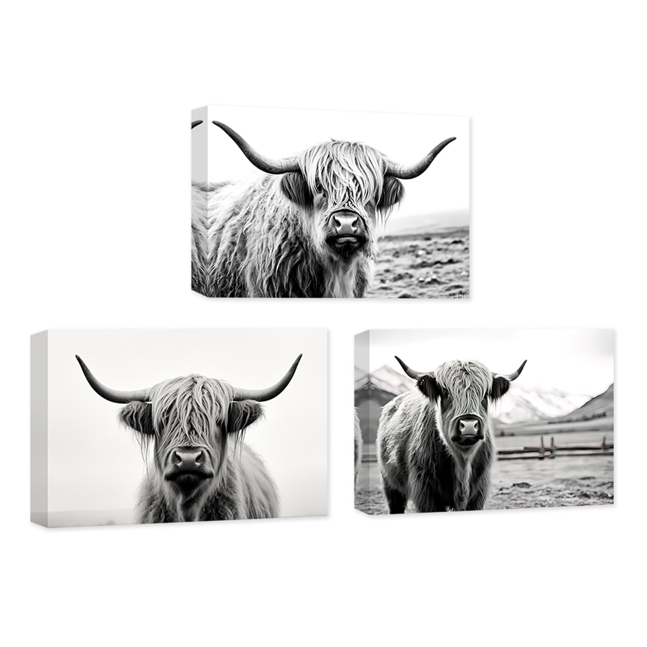 CXHOSTENT 3 Panels Highland Cow Pictures Wall Decor Black and White Animal Canvas Wall Art Longhorn Cattle Painting Farmhouse Decor Frame (Highland Cow - 2, 28x35cmx3Pcs) โ image 1