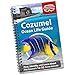 Cozumel Ocean Life Guide, Underwater Spotter Fish Identification Book For Scuba Divers, Snorkelers and Kids, 50 Fish Species and Marine Animals Scavenger Hunt for Beginners