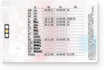 UK Driving License Replica ID Card for Cosplay, Film & TV Props Double-Sided, Customisable with Photo, Name & Birthdate Eco-Friendly Prop Card by The Card Project US