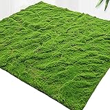 KTYXGKL Artificial Moss Mat, Synthesis Green Fake Grass Turf, Simulation Bryophyte， Home Garden...
