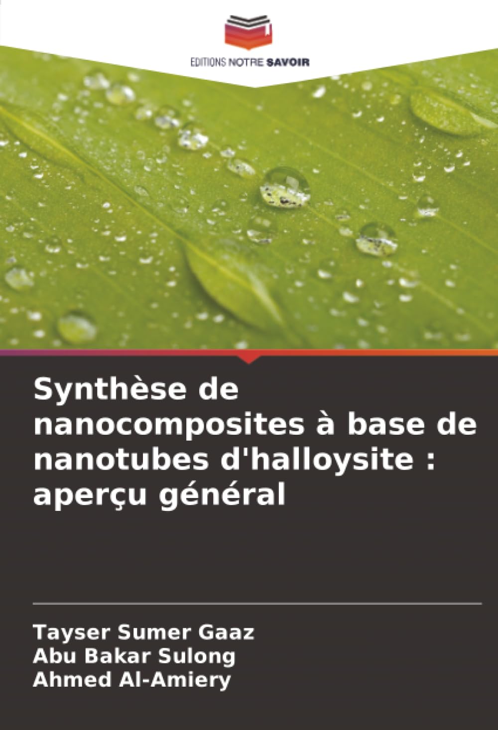 Synthèse de nanocomposites à base de nanotubes d'halloysite : aperçu général