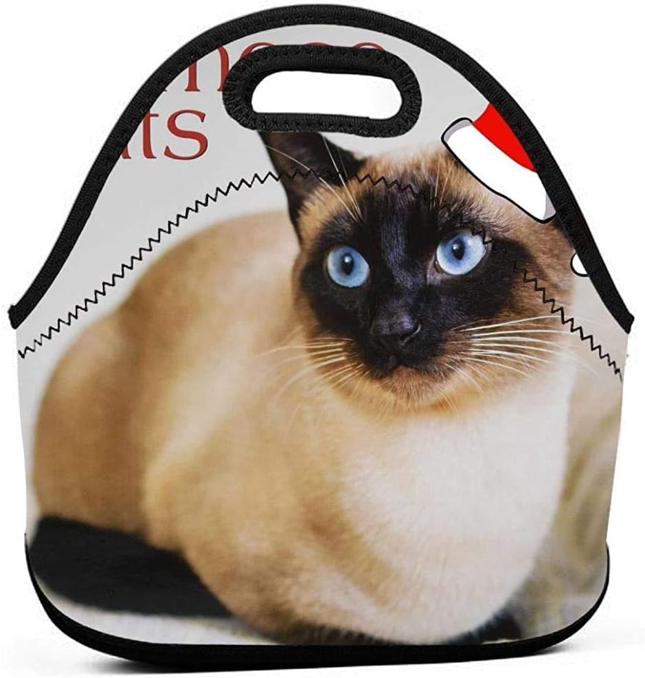 porte per gatti isolate